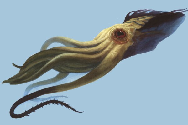Kraken сайт магазин