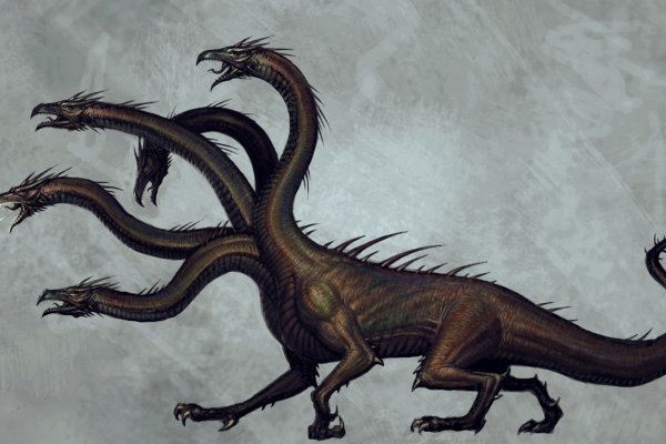 Kraken19 at