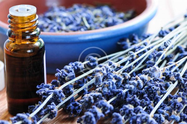 Сайт кракена актуальный