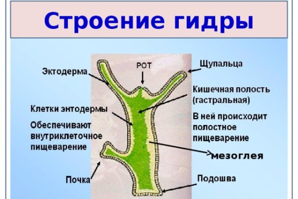 Сайт кракен 24