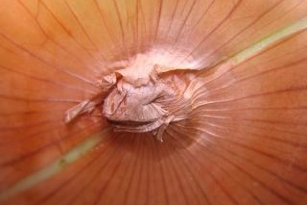Кракен зеркало рабочее onion