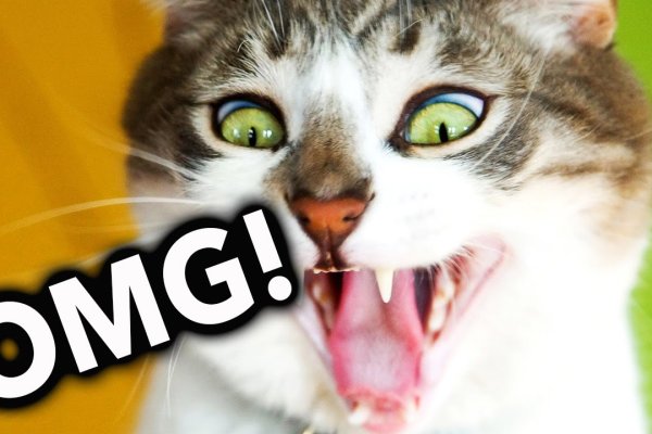 Кракен тор ссылка онлайн